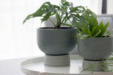 Large Ceramic planter in gray