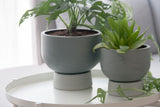 Large Ceramic planter in gray