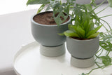 Large Ceramic planter in gray