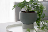 Large Ceramic planter in gray